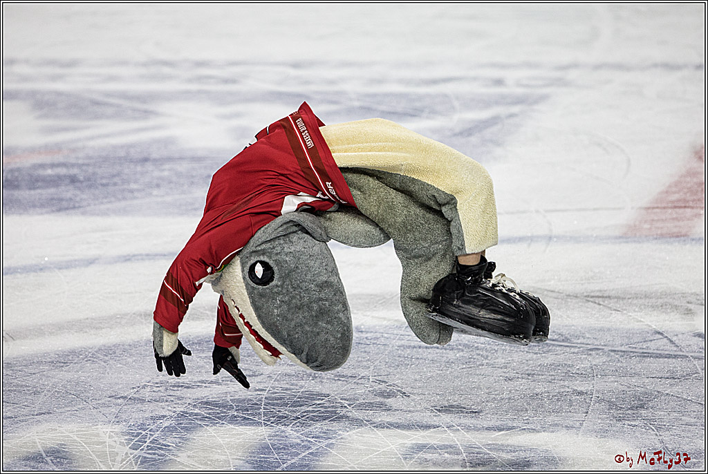 DEL, Koelner Haie - Grizzlys Wolfsburg, 07.03.2017